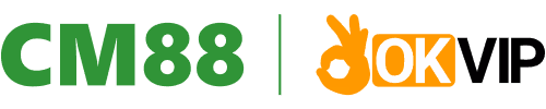 FLY88 Logo